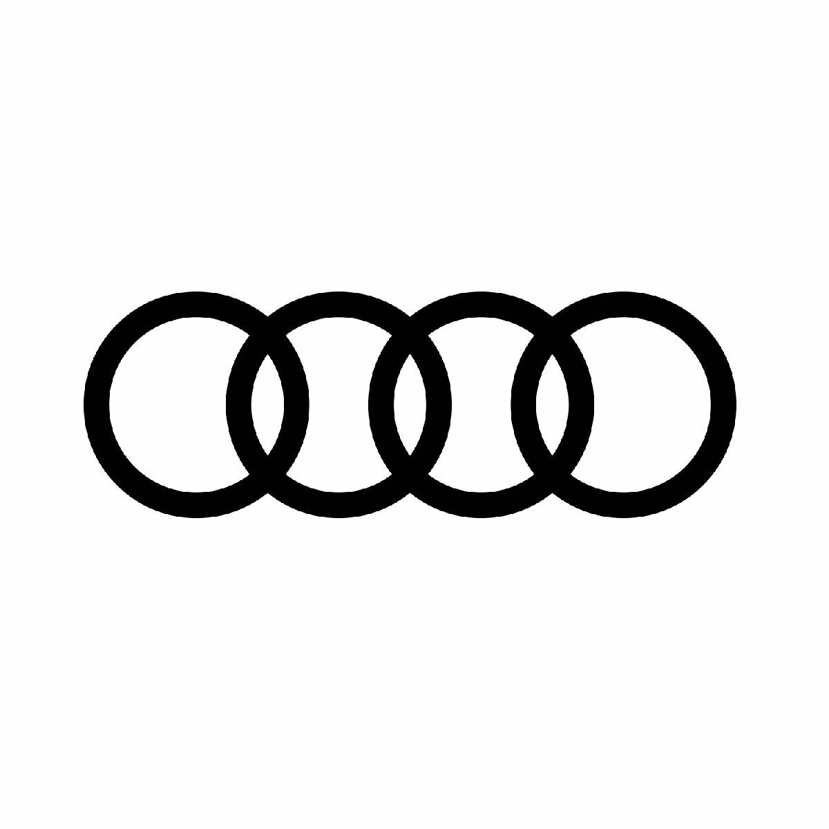 Audi layihəsi necə yarandı?