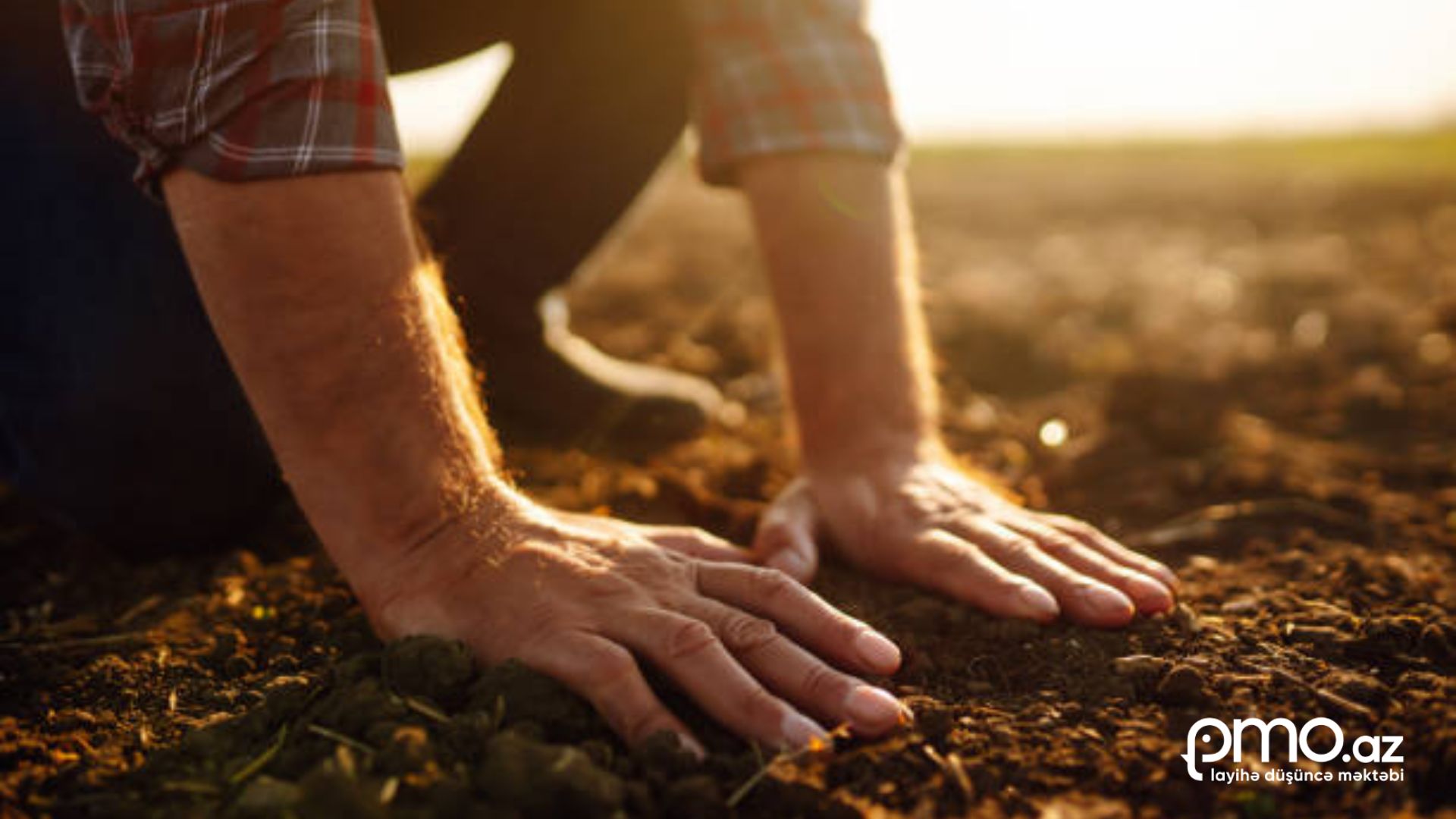 Karbon saymaq yetmir: Artıq “Handprint” yaratmağın ...